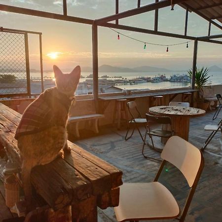 Sattahiptale Boutique Guesthouse & Hostel Dış mekan fotoğraf
